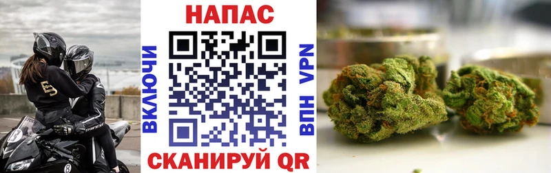 ОМГ ОМГ ссылка  Кадников  Каннабис план 